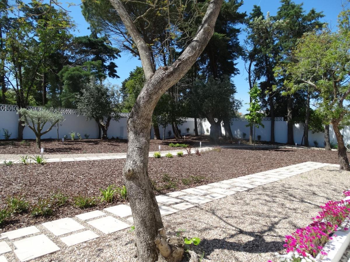 Aires Da Serra Hotel Torres Novas Exteriör bild