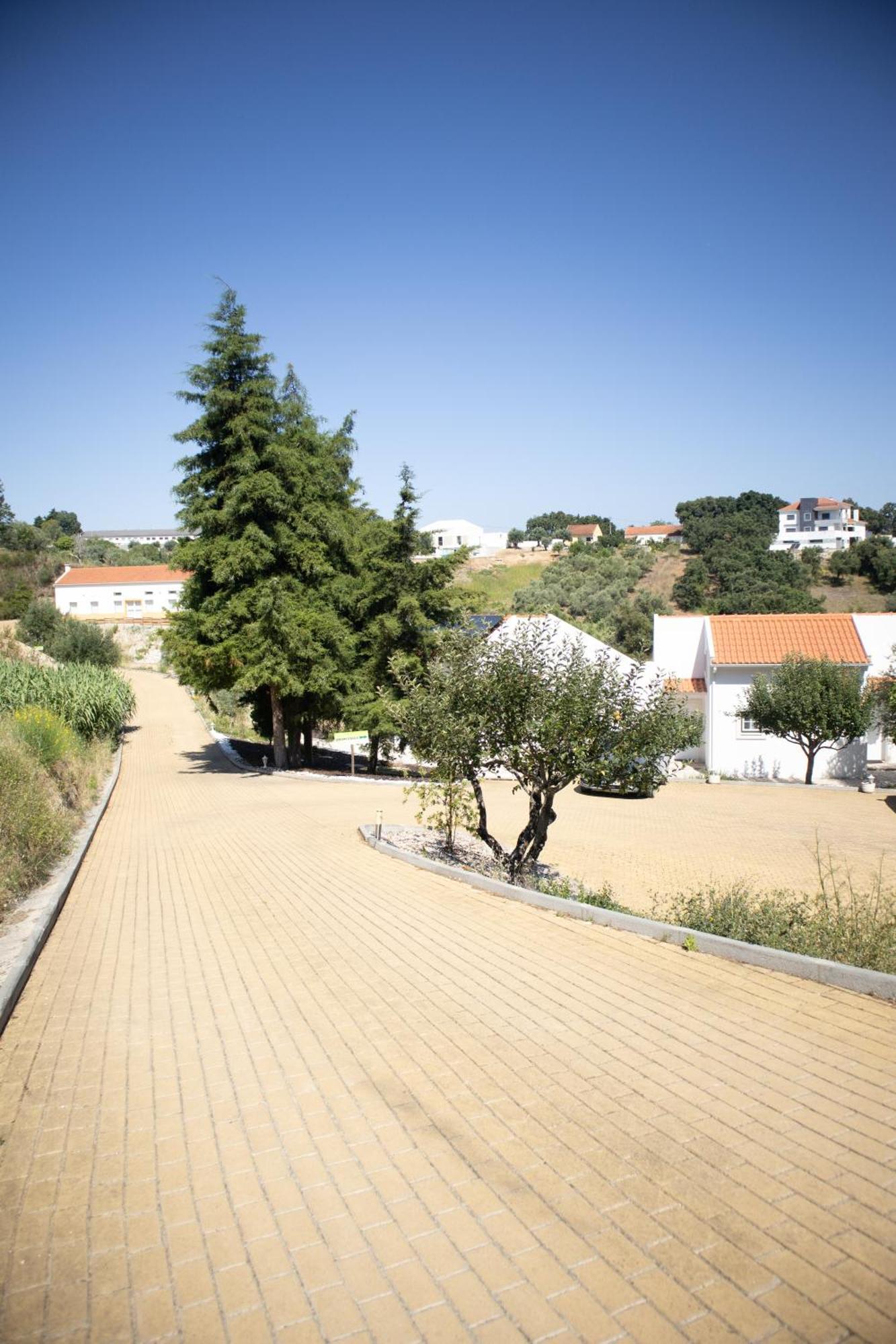 Aires Da Serra Hotel Torres Novas Exteriör bild